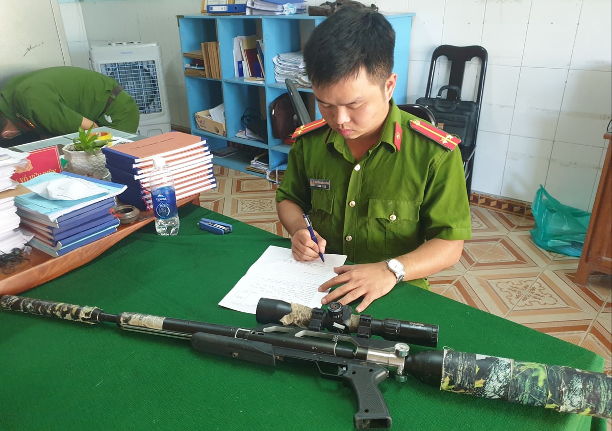 Sử dụng súng ở Việt Nam