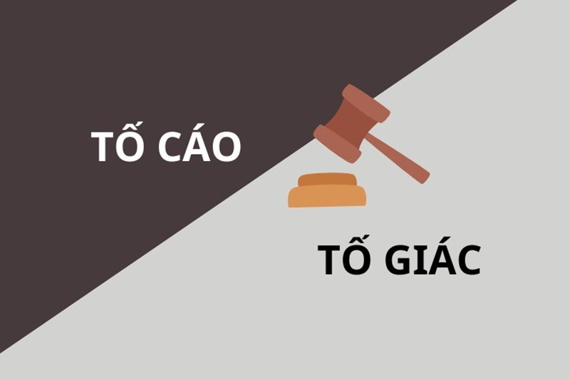Người bảo vệ quyền và lợi ích hợp pháp của người bị tố giác có quyền và nghĩa vụ gì?