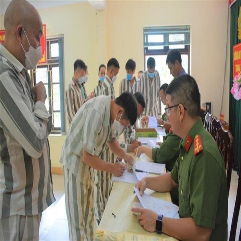 Lý do nhân đạo trong thi hành án hình sự được pháp luật quy định thế nào?