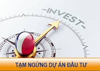 Các hình thức đầu tư nước ngoài tại Việt Nam