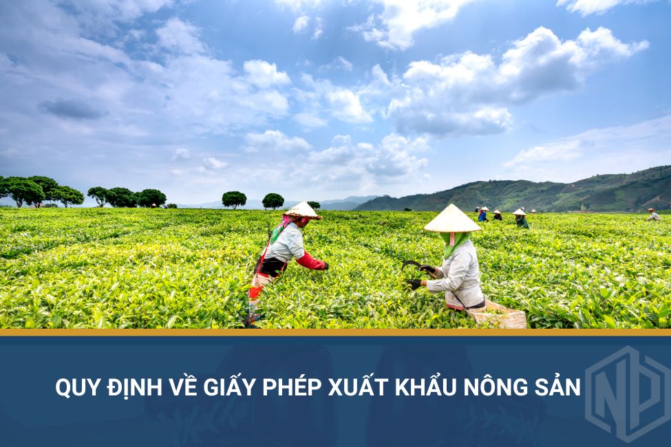 Quy định về giấy phép xuất khẩu nông sản