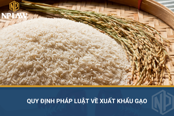 Quy định pháp luật về xuất khẩu gạo