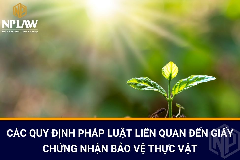 Các quy định pháp luật liên quan đến Giấy chứng nhận bảo vệ thực vật