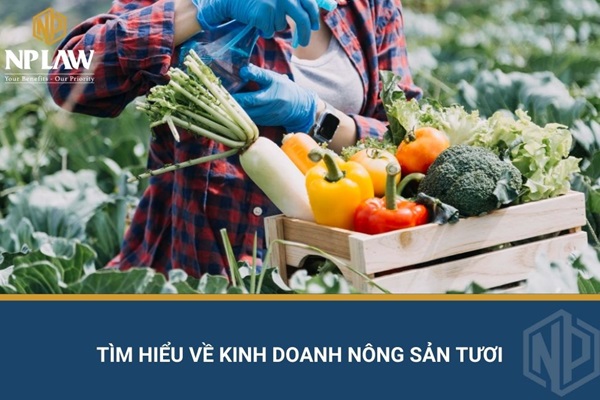 Tìm hiểu về kinh doanh nông sản tươi
