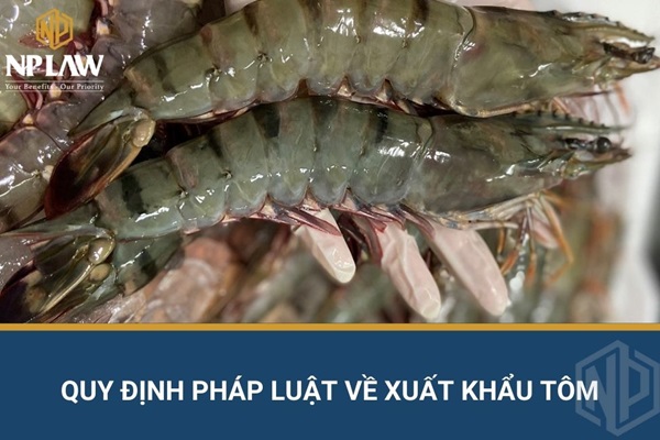 Quy định pháp luật về xuất khẩu tôm