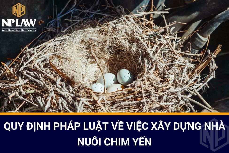 Quy định pháp luật về việc xây dựng nhà nuôi chim yến