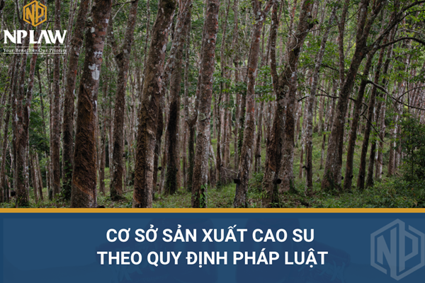 Cơ sở sản xuất cao su theo quy định pháp luật