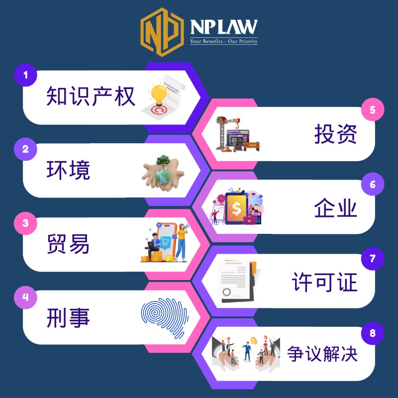 介绍nplaw律师事务所