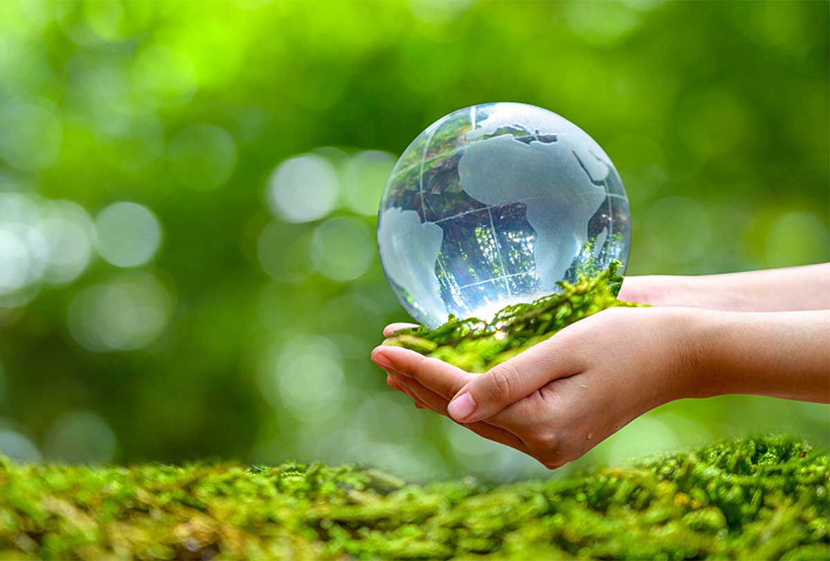 Legal regulations on environmental rehabilitation and restoration after investment