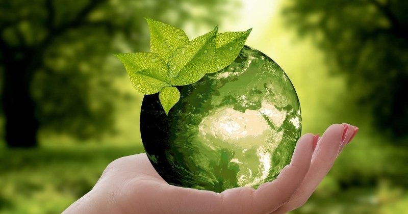 Regulations on the implementation of environmental protection standards