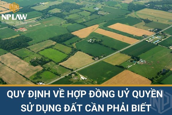 Quy định về hợp đồng uỷ quyền sử dụng đất cần phải biết