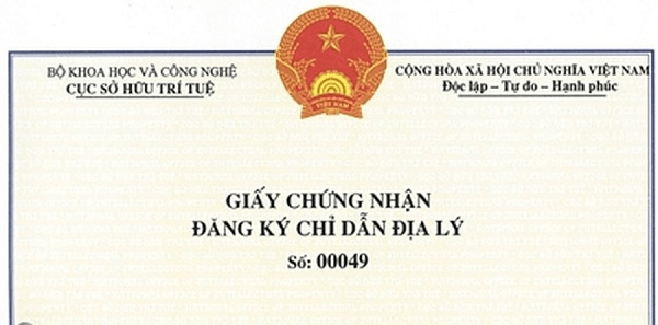 Luật Sở Hữu Trí Tuệ về chỉ dẫn địa lý tại Việt Nam