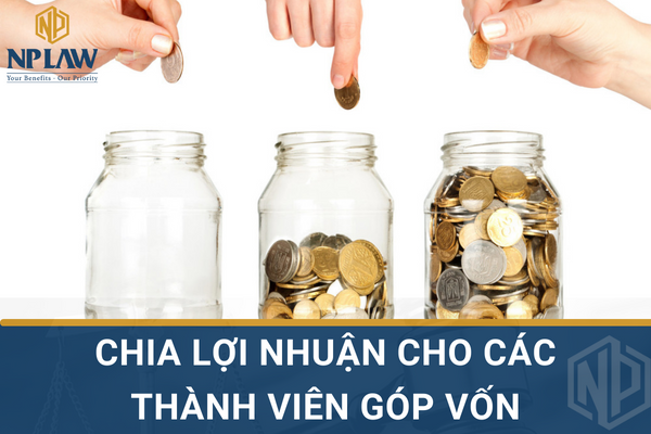 Chia lợi nhuận cho các thành viên góp vốn