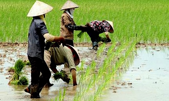 Văn phòng đại diện
