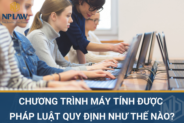 Chương trình máy tính được pháp luật quy định như thế nào?