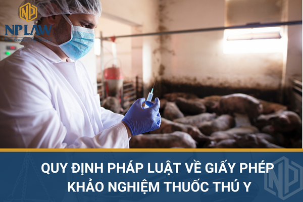 Quy định pháp luật về giấy phép khảo nghiệm thuốc thú y