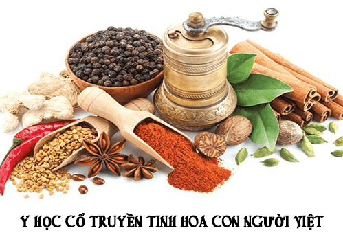 https://nplaw.ght.vn/storage/uploads/media/24953/anh-3-min2.png