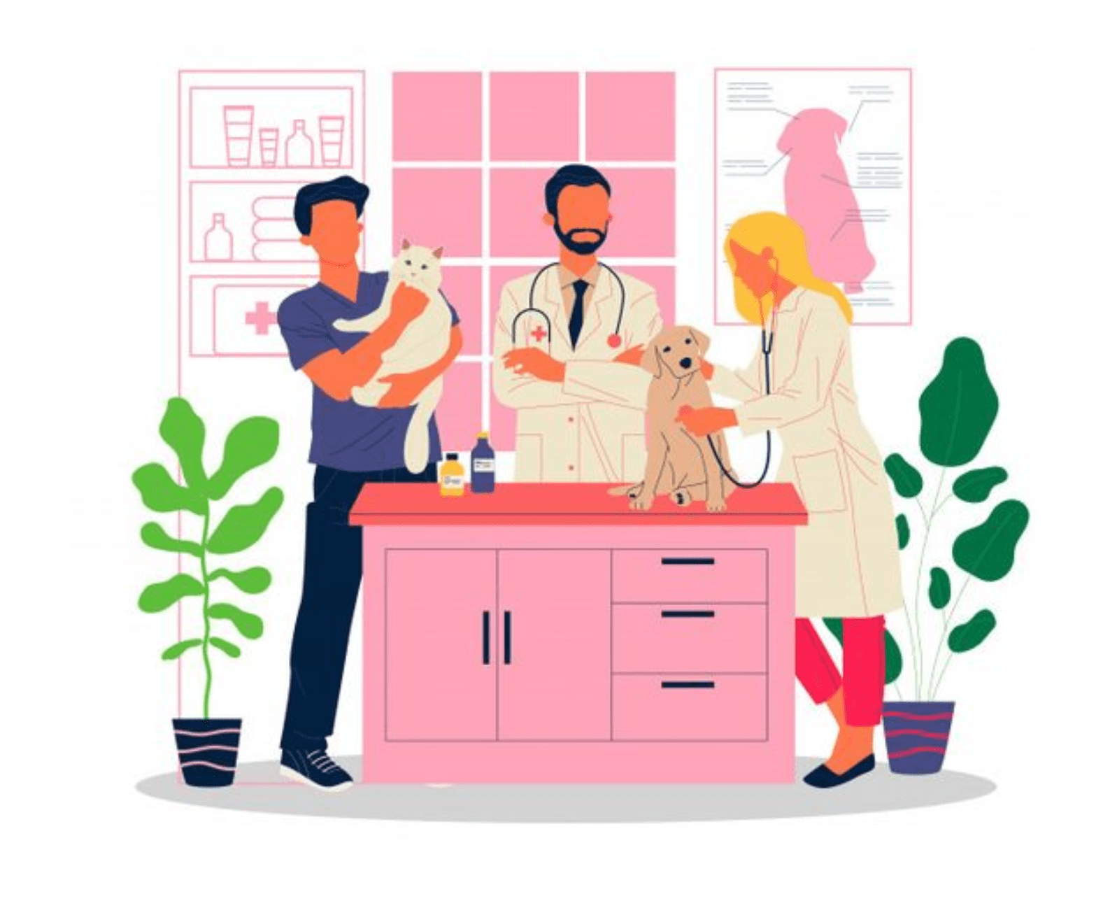 Mở cửa hàng chăm sóc thú y cần những điều kiện gì?