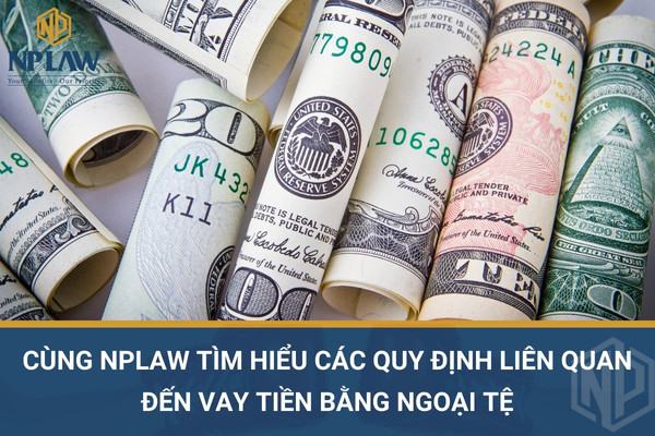 Cùng NPLAW tìm hiểu các quy định liên quan đến vay tiền bằng ngoại tệ