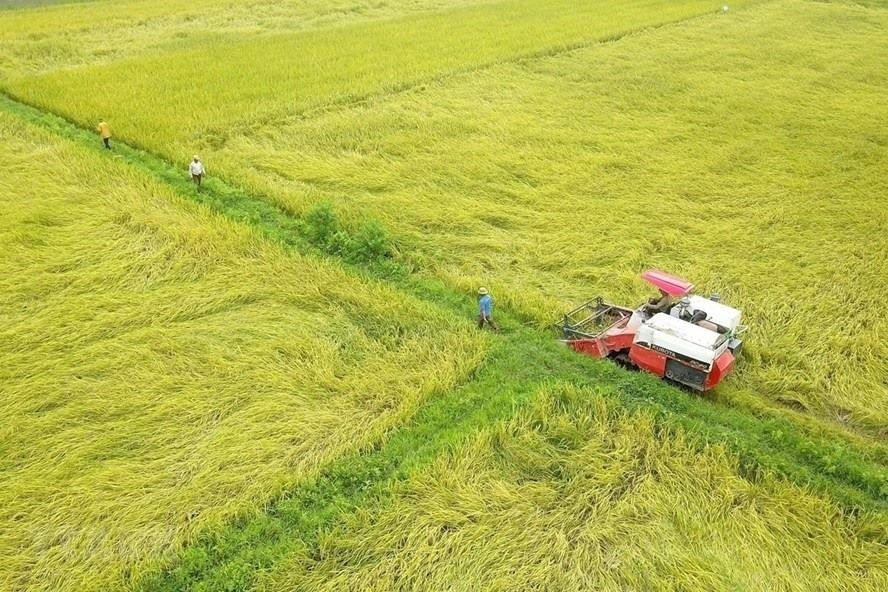 Chuyển mục đích sử dụng đất từ đất nông nghiệp sang đất thương mại dịch vụ thì có phải xin phép cơ quan nhà nước có thẩm quyền không