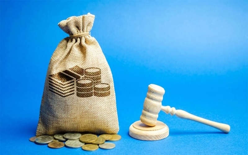 Có phải trồng rừng thay thế khi chuyển mục đích sử dụng rừng hay không?