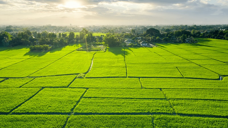 Quy định pháp luật về chiếm đất
