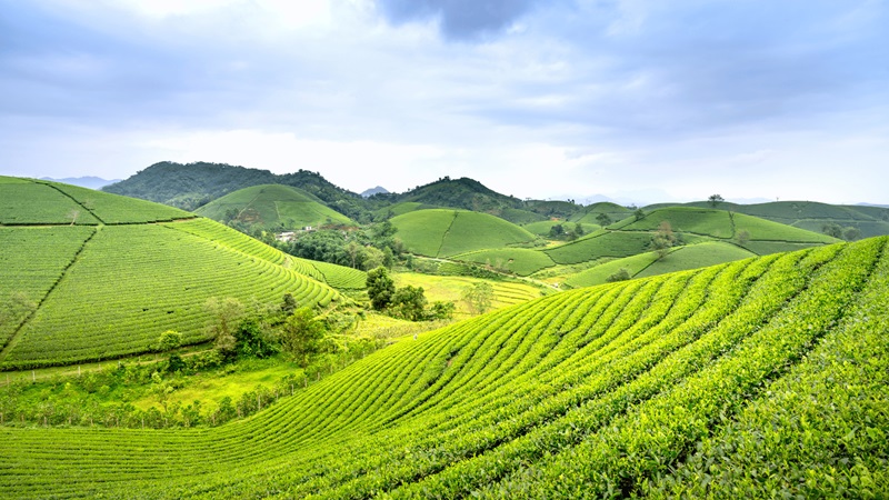 Thực trạng bỏ trốn không trả nợ