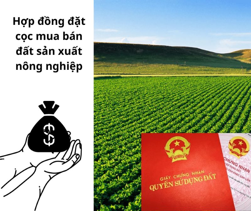Nội dung cần có của hợp đồng đặt cọc mua bán đất sản xuất nông nghiệp