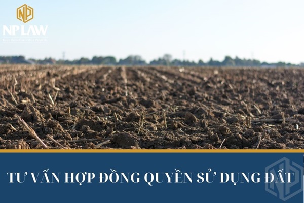 Tư vấn hợp đồng quyền sử dụng đất