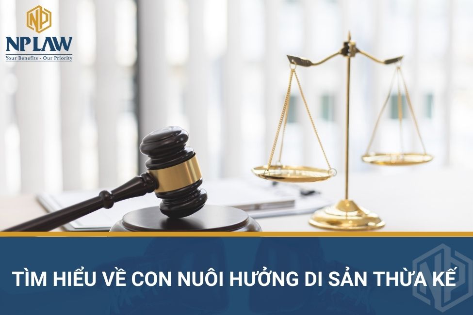 Tìm hiểu về con nuôi hưởng di sản thừa kế