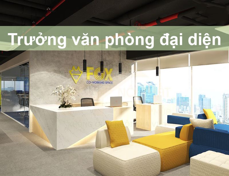 Quy trình bổ nhiệm người đứng đầu văn phòng đại diện