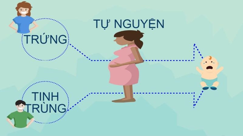 Điều kiện mang thai hộ vì mục đích nhân đạo