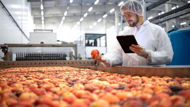 Các hình thức thu hồi thực phẩm không bảo đảm an toàn