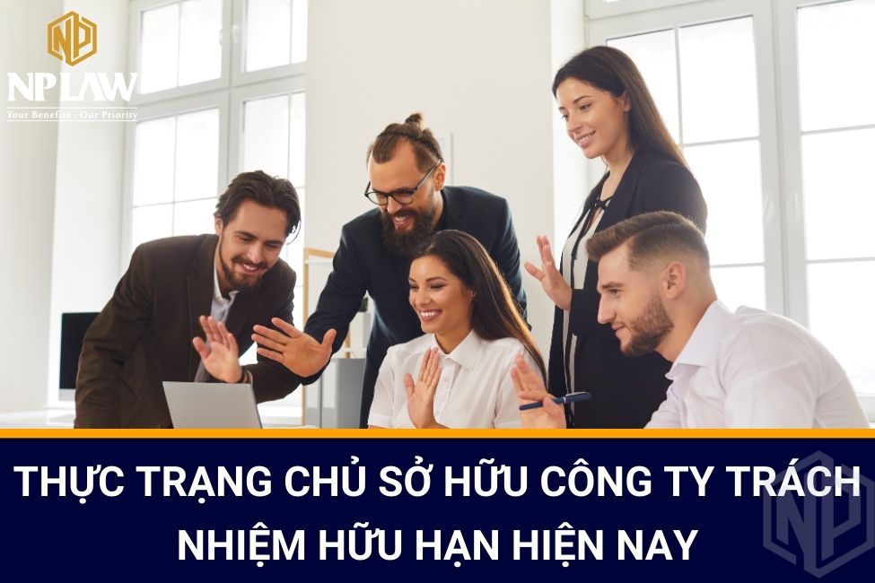 Thực trạng chủ sở hữu công ty trách nhiệm hữu hạn hiện nay