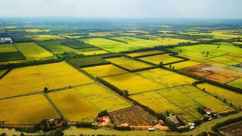 Cá nhân có được quyền giao đất nông nghiệp cho người khác sử dụng không?