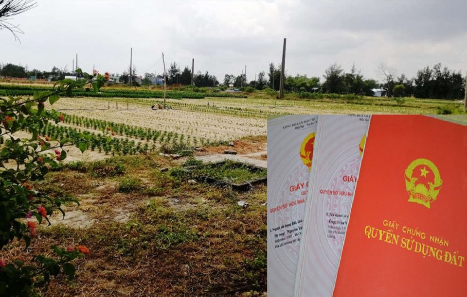 Tìm hiểu cho thuê đất công ích