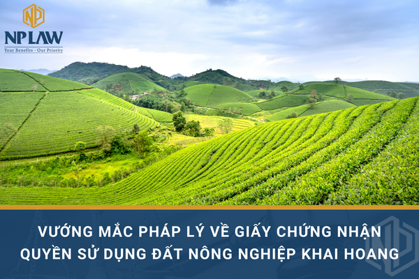 Vướng mắc pháp lý về giấy chứng nhận quyền sử dụng đất nông nghiệp khai hoang