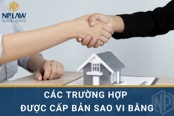 Các trường hợp được cấp bản  sao vi bằng