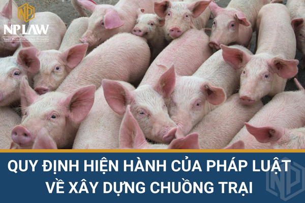 Quy định hiện hành của pháp luật về xây dựng chuồng trại