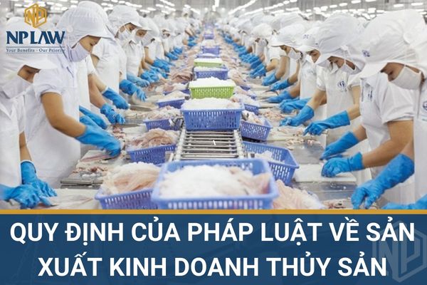 Quy định của pháp luật về sản xuất kinh doanh thủy sản
