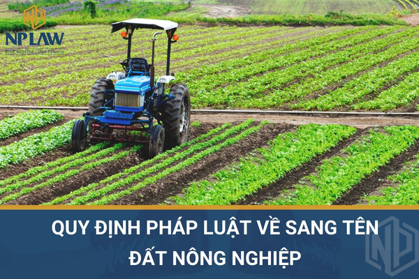 Quy định pháp luật về sang tên đất nông nghiệp