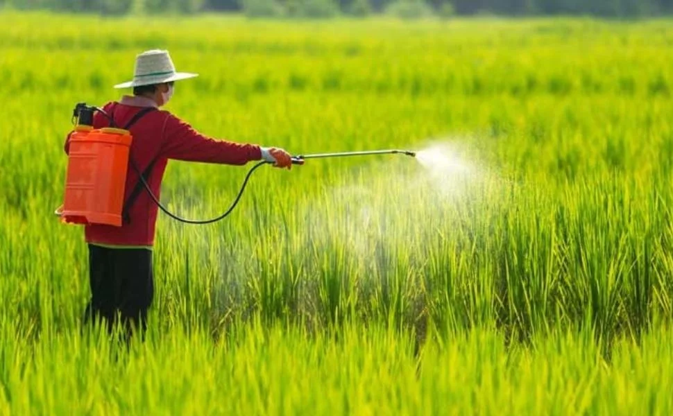 Quy định về cơ sở sản xuất thuốc bảo vệ thực vật