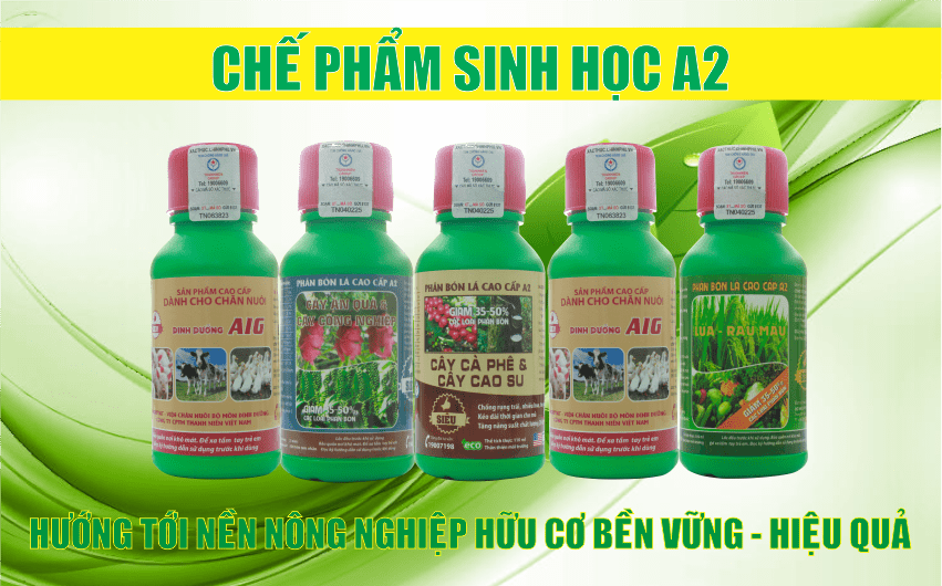 Quảng cáo phân bón được thực hiện như thế nào?