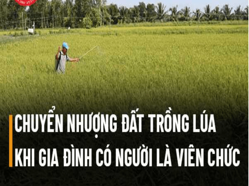 https://nplaw.ght.vn/storage/uploads/media/4738/chuyen-nhuong-dat-khi-co-nguoi-la-vien-chuc-min.png