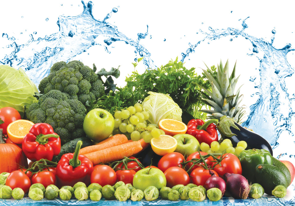 Dossiers and procedures for applying for a food safety and hygiene certificate in nha trang