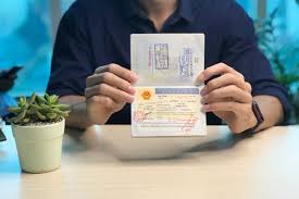 Legal regulations on business visas