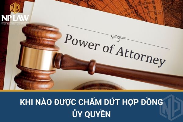 Khi nào được chấm dứt hợp đồng ủy quyền