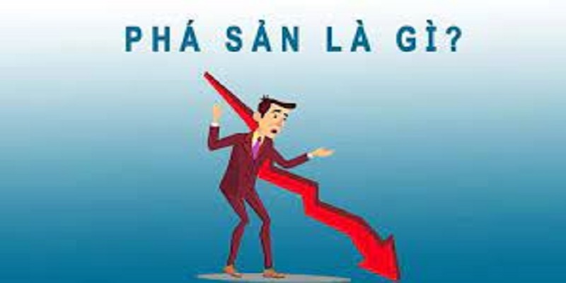 https://nplaw.vn/quy-dinh-phap-luat-vè-phan-chia-tai-san-khi-doanh-nghiep-pha-san.html