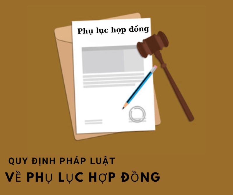 Phụ lục hợp đồng là gì