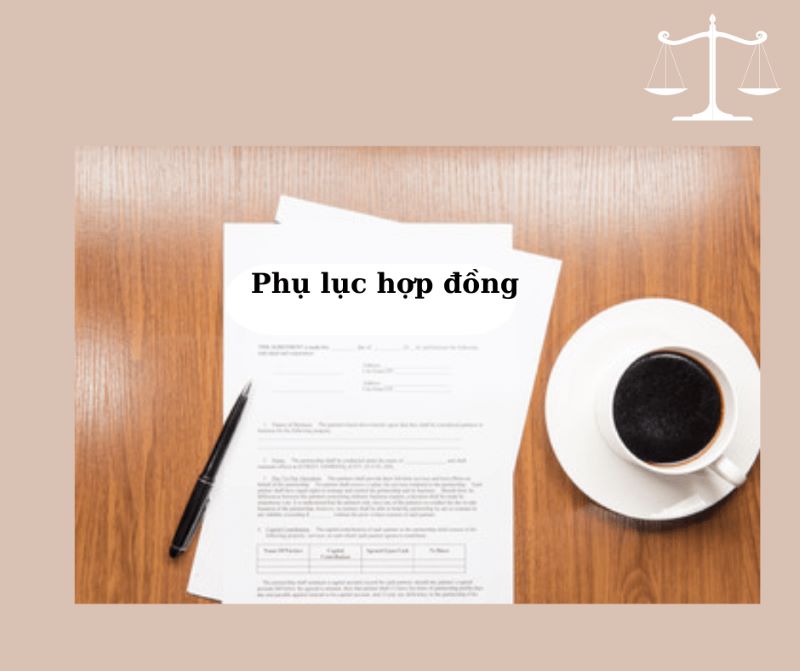 Đâu là yếu tố quan trọng trong phụ lục hợp đồng